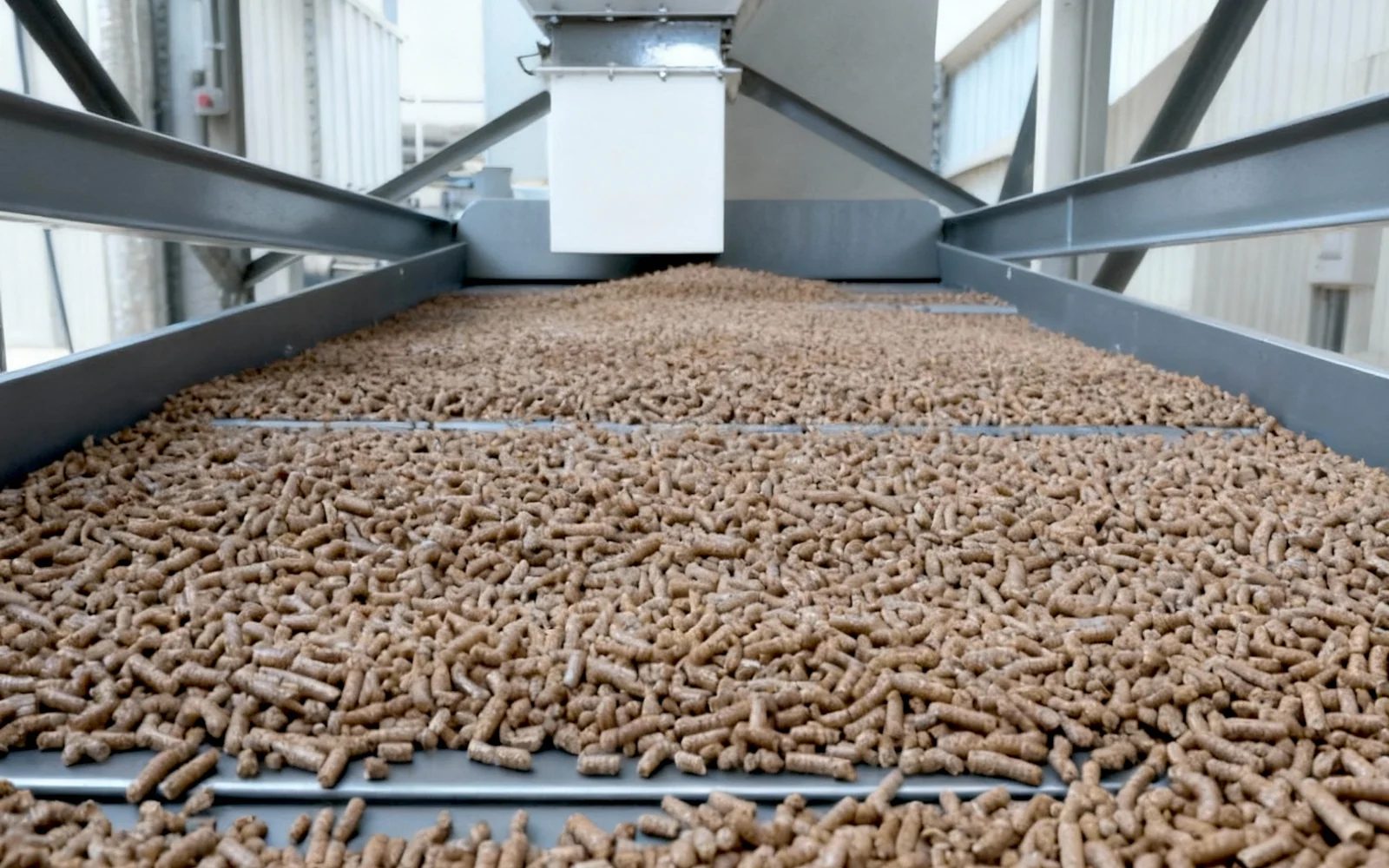Holzpellets auf einem Förderband unter einem Austragtrichter in der Produktionsanlage.